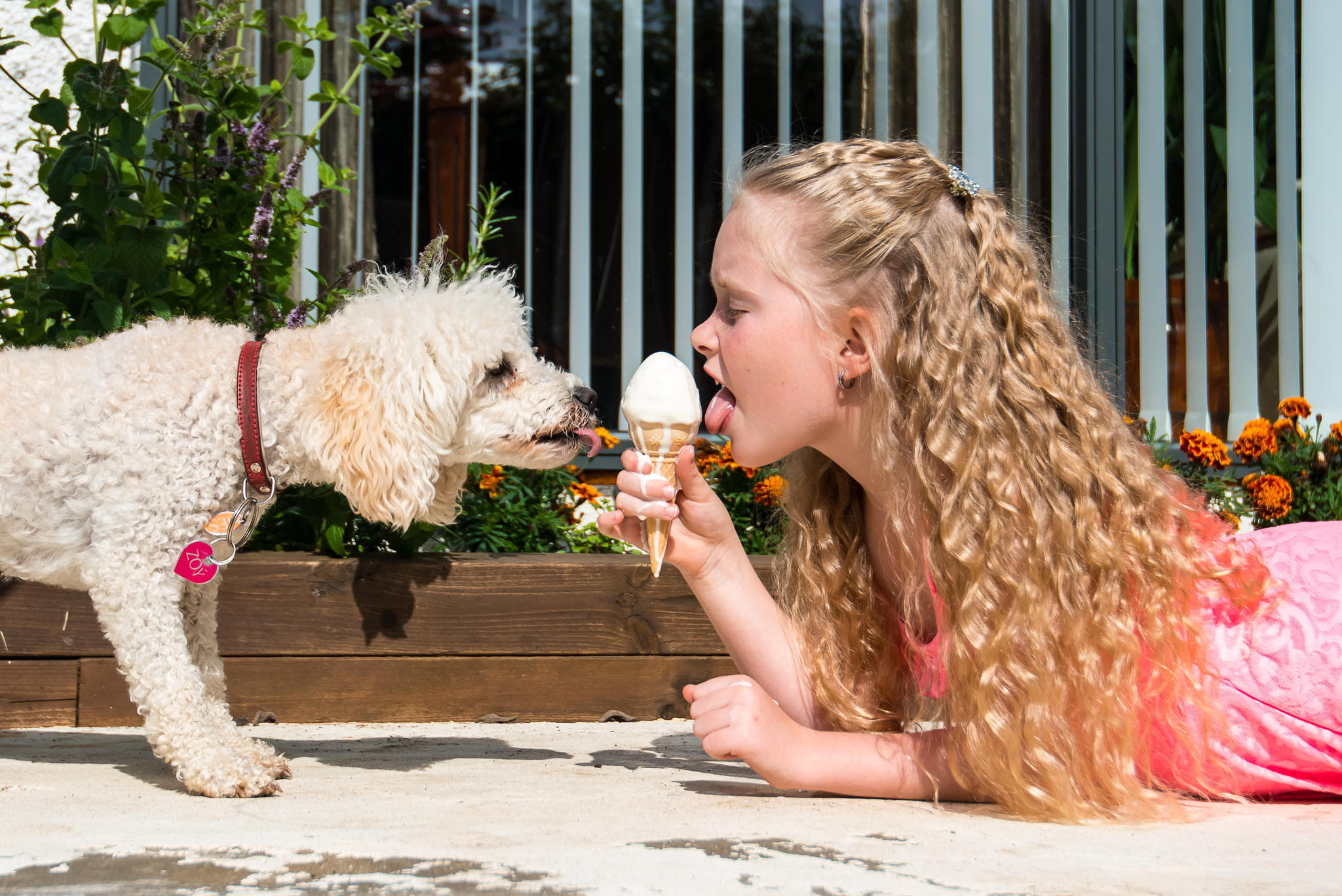 Wellness improvements: Embracing Daily Savoring, a Practice for Enhanced Wellbeing